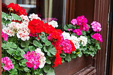 顽皮狗挖角R星元老 助力新IP《星际：异端先知》开发